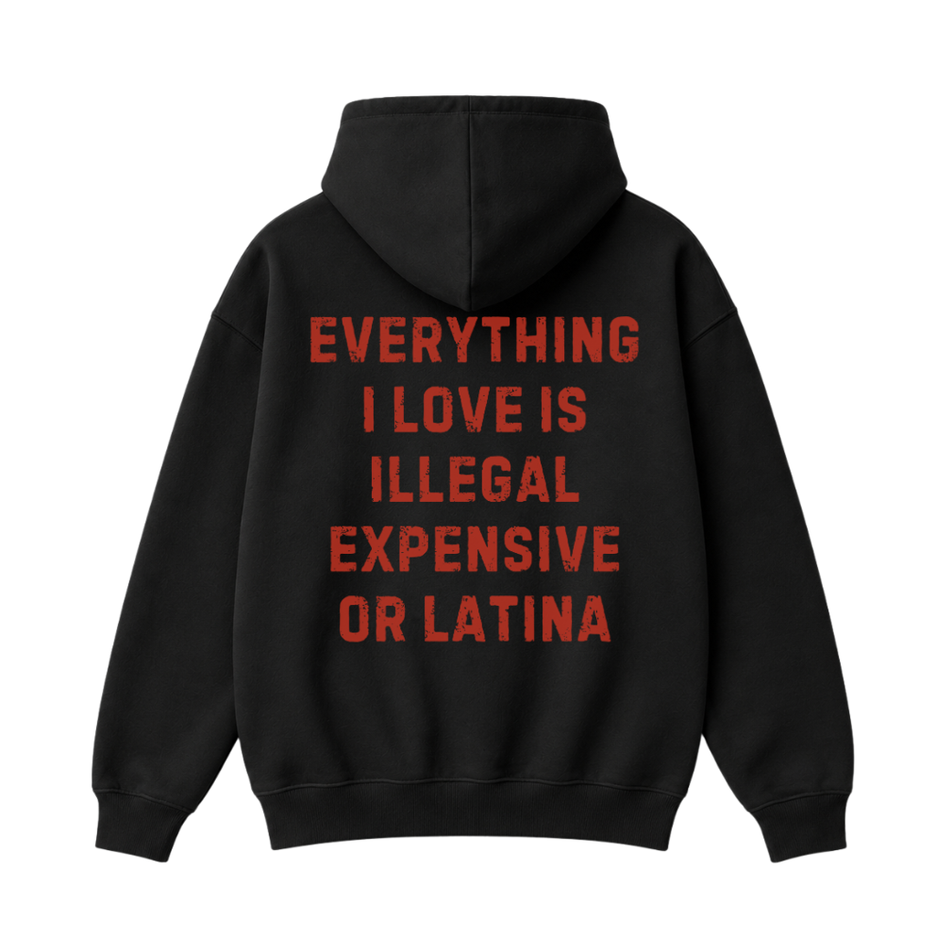 Everything I Love Is Illegal Expensive or Latina Hoodie